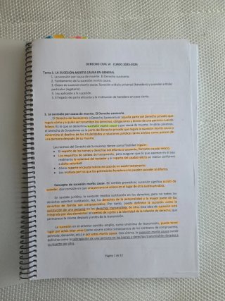 Manual de Derecho Civil. Derechos Reales.