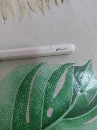 Apple Pencil (USB-C)