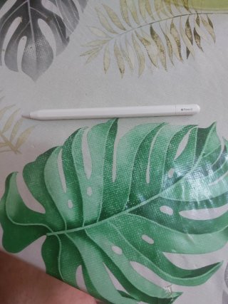 Apple Pencil (USB-C)