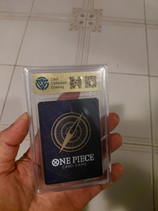 Carta One Piece Gradata 2024 BANDAI