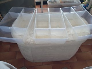 Divisori trasparenti per cassetti in plastica