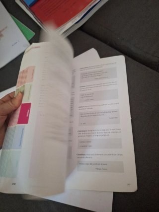 Puntal 4. Llengua catalana i Literatura 4 ESO