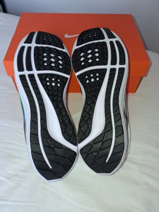 Nike Air Zoom Pegasus 40 Talla 44