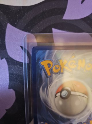 Carta Pokémon Crocalor 202/191
