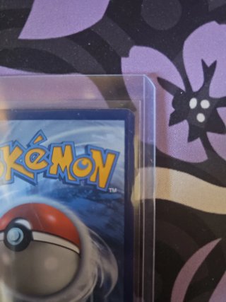 Carta Pokémon Crocalor 202/191