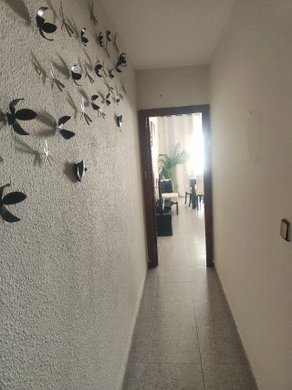 limpieza y pintura en  hogares en Madrid