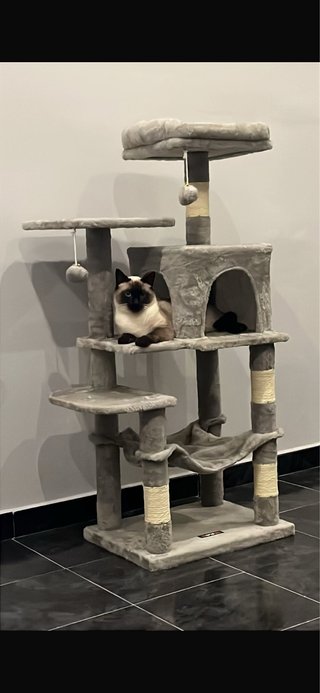 Casa para gatos de varios niveles