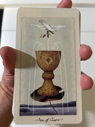 Tarot Pagan Otherworlds Uusi 2016