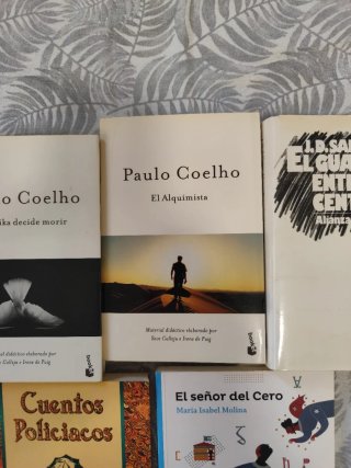 Lote libros