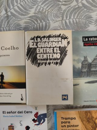 Lote libros