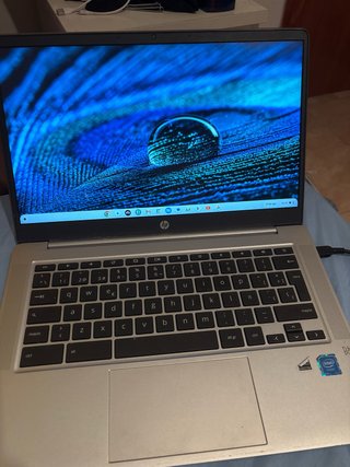 HP Chromebook Portátil Dorado/Plateado