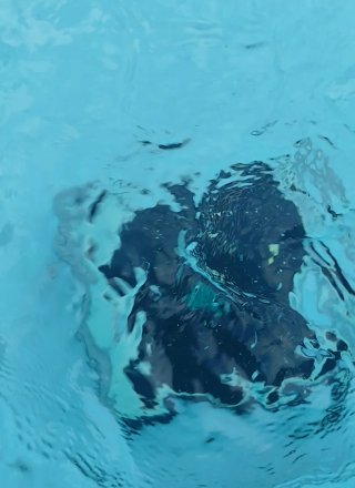 WYBOT C1 Robot Limpiafondos Piscina