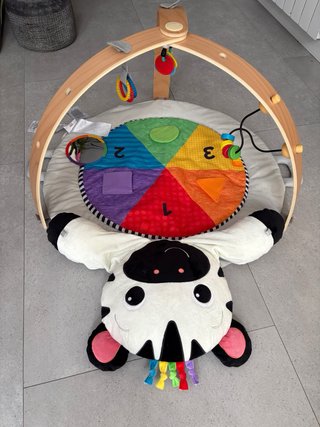 Gimnasio para bebé Baby Einstein