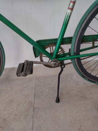 Bicicleta Fixie Vintage Verde