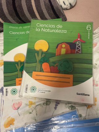 Libros 6 de primaria editorial Santillana