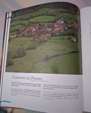 Asturias Enyoy paso a paso 2010
