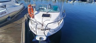Barco DELFIN FELCO 520