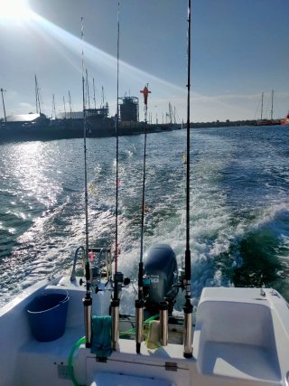 Barco DELFIN FELCO 520