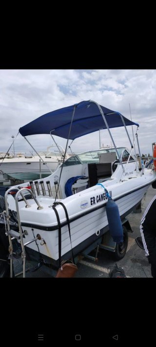 Barco DELFIN FELCO 520