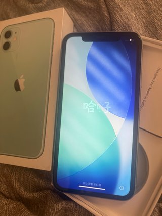 iPhone 11 Verde