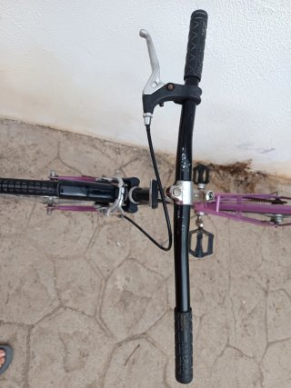 Bicicleta paseo