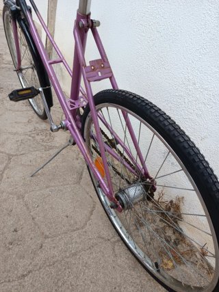 Bicicleta paseo