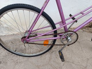 Bicicleta paseo