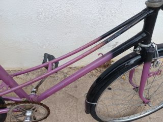 Bicicleta paseo