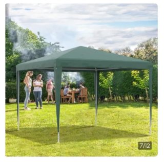 Carpa verde