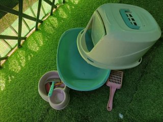 Arenero para gatos con accesorios