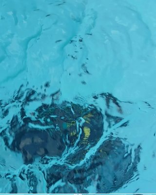 Robot Limpiafondos WYBOT C1 Piscina