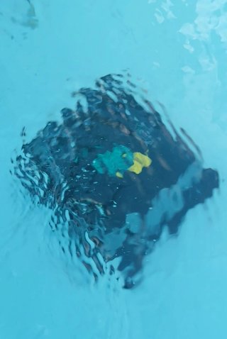 Robot Limpiafondos WYBOT C1 Piscina