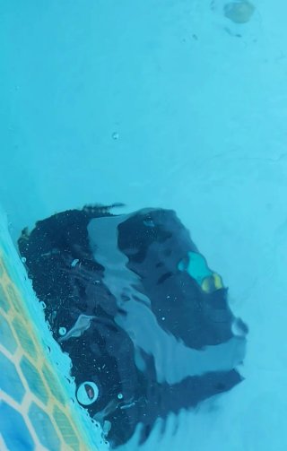 Robot Limpiafondos WYBOT C1 Piscina