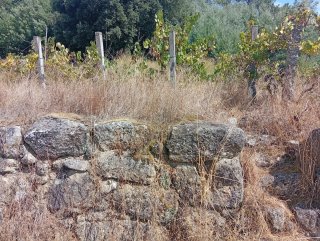 Trio de Viñas
