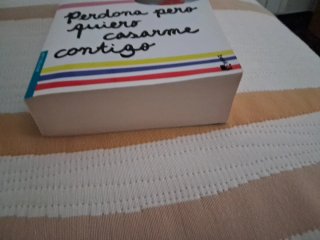 Perdona pero quiero casarme contigo