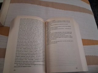 Perdona pero quiero casarme contigo