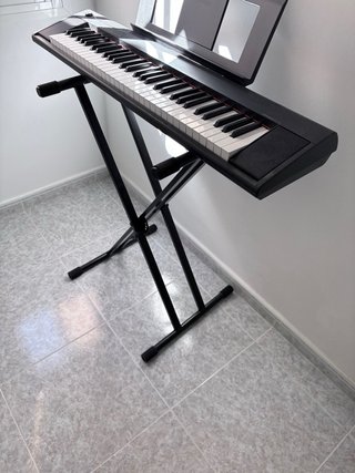 Teclado Yamaha Piaggero NP-12 con soporte
