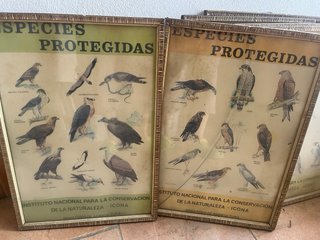 Cuadros religiosos madera y cristal