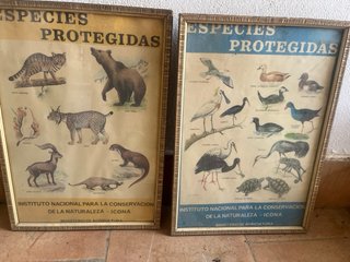 Cuadros religiosos madera y cristal