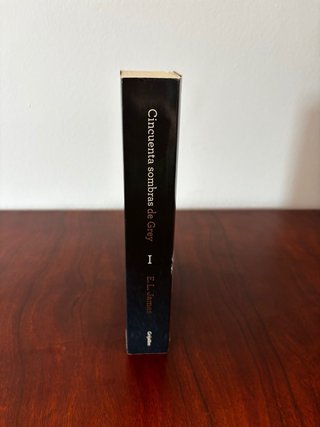 E. L. James, Cincuenta sombras de Grey