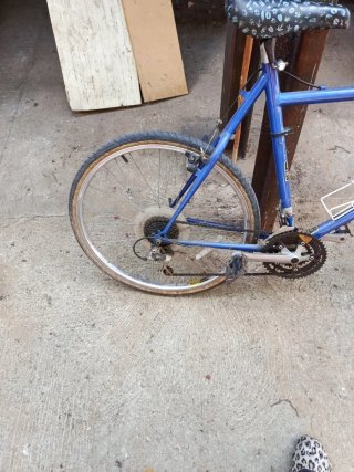 Bicicleta Blanca Montaña
