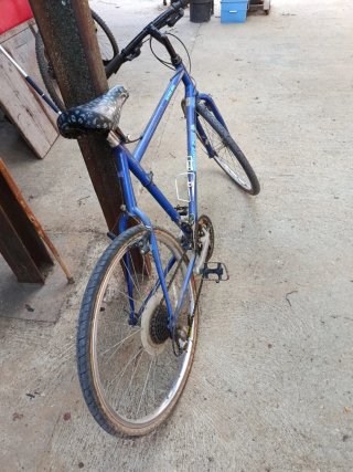Bicicleta Blanca Montaña