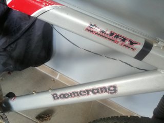 Bicicleta Trekking Boomerang Plata