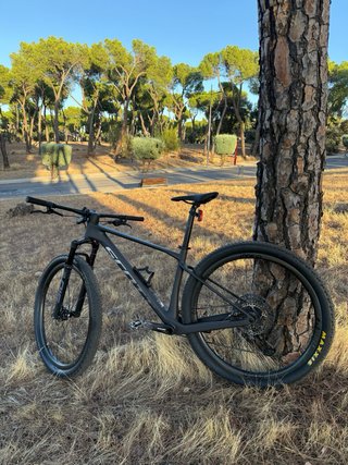 Scott Scale 940 M Carbono