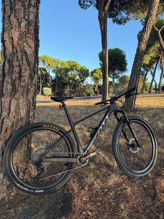Scott Scale 940 M Carbono
