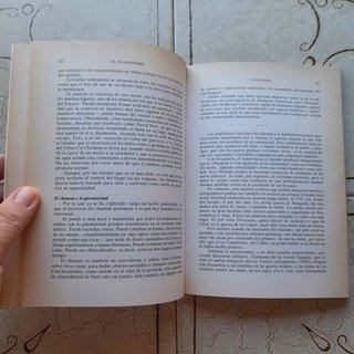 CHAMANISMO LOS FUNDAMENTOS DE LA MAGIA