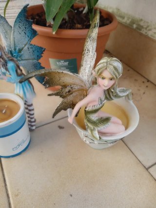 2 Fate con tazza Amy Brown x ambedue 1 ,,,35