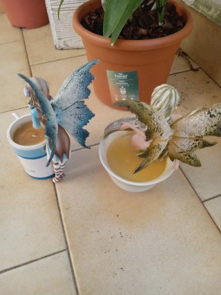 2 Fate con tazza Amy Brown x ambedue 1 ,,,35