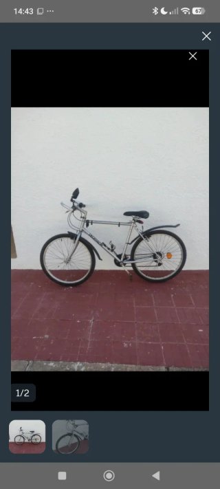 Bicicleta de montaña plateada