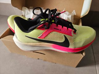 Zapatillas Nike Pegasus 40 PRM Hombre
